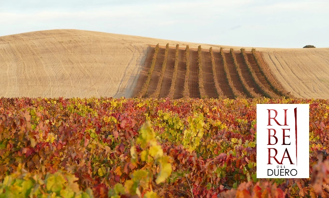 D.O. Ribera del Duero