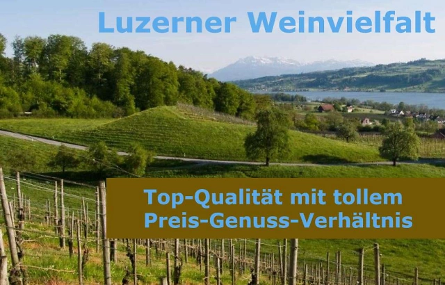 Luzerner Wein(1)