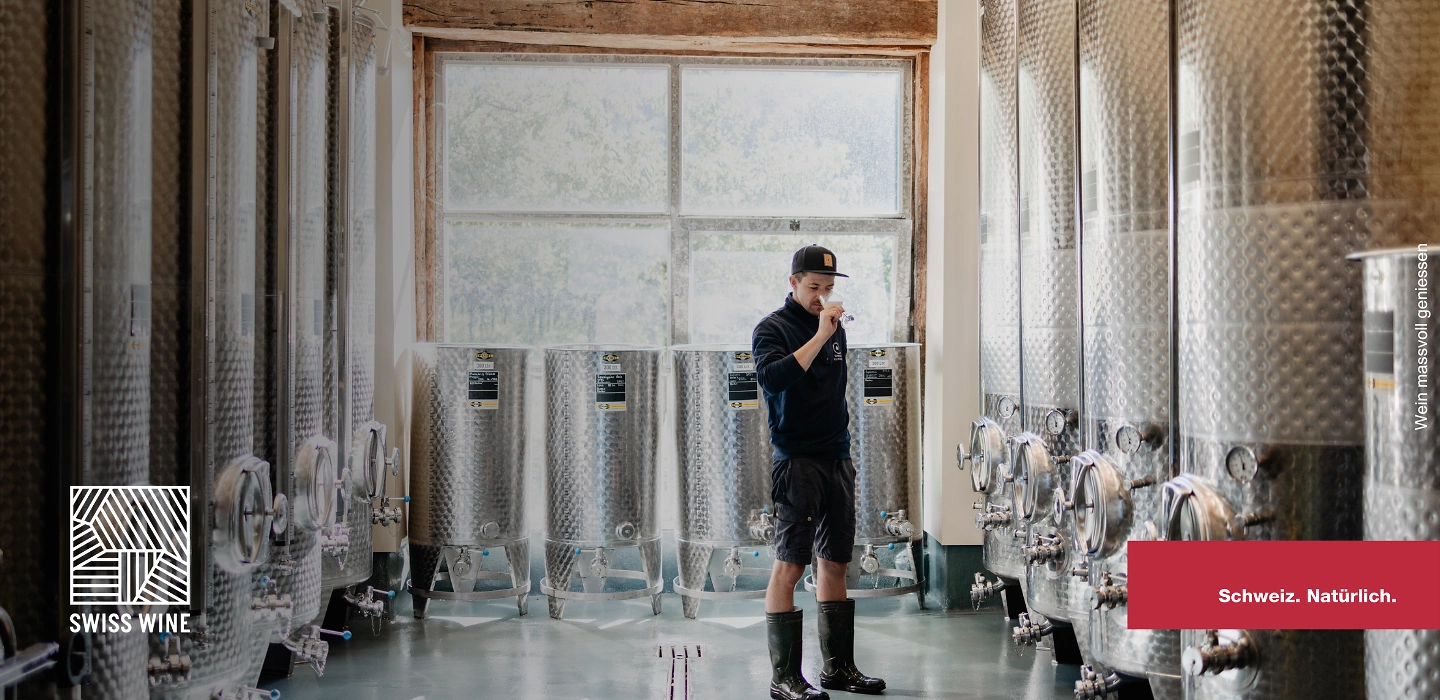 Weingut Klosterhof