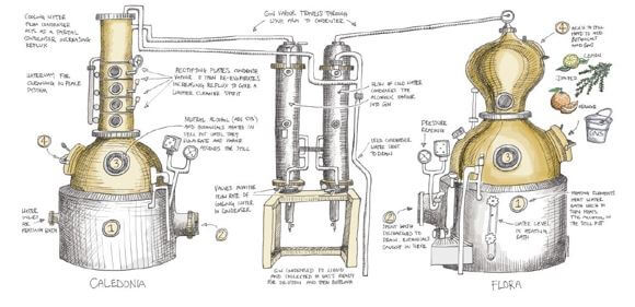 Edinburgh Gin Distillery