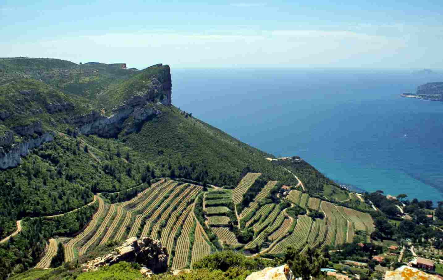 Region Bandol AC Wählen aus dem vielfältigen Sortiment von Schubi Weine
