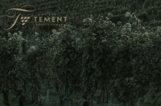 Tement Weingut