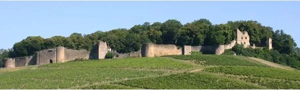 Château d'Arlay