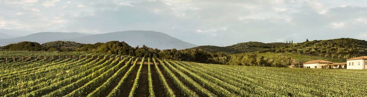 Monteverro