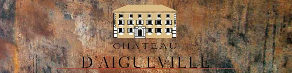 Château d'Aigueville