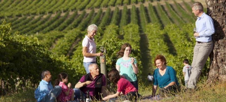 Thorn Clarke Winery