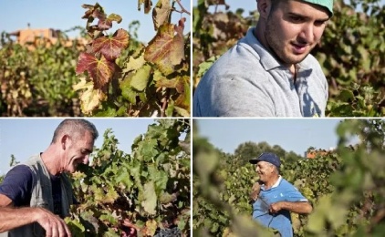 Risveglio Agricola