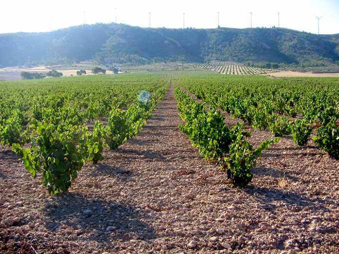 Jumilla