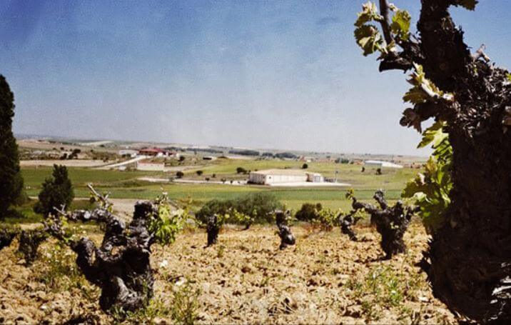 Bodegas Tridente