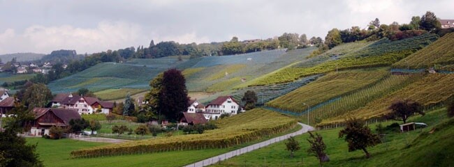 Zürich