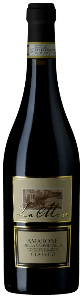 Amarone classico della Valpolicella DOCG la Musa